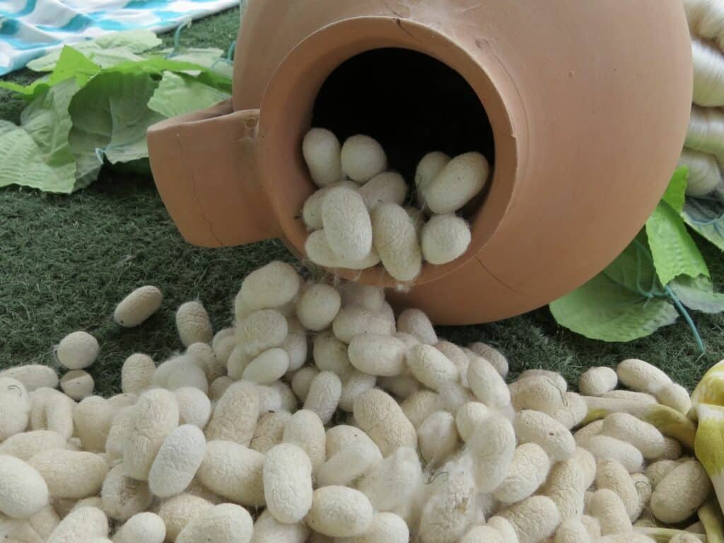 Silk cocoons, Fergana Valley, Uzbekistan
