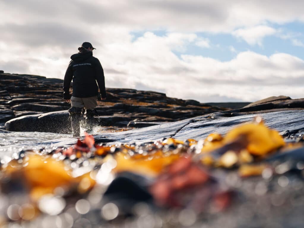 Ungava Polar excursion