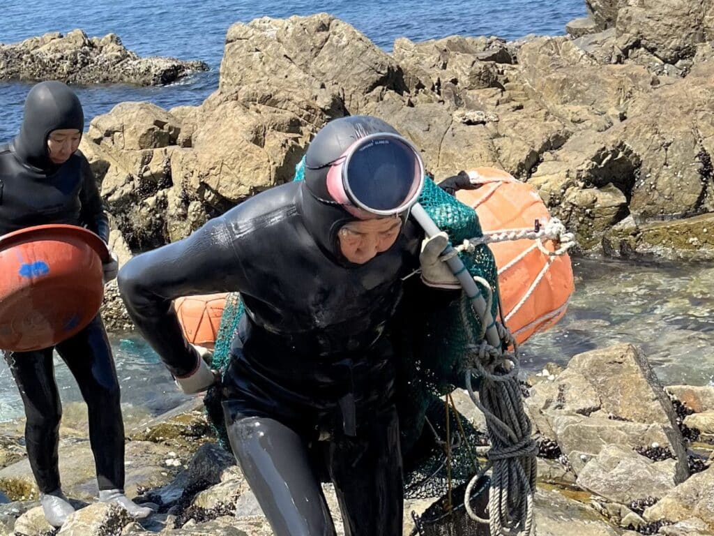 Haenyeo., Women of the Sea, Jeju Island, South Korea