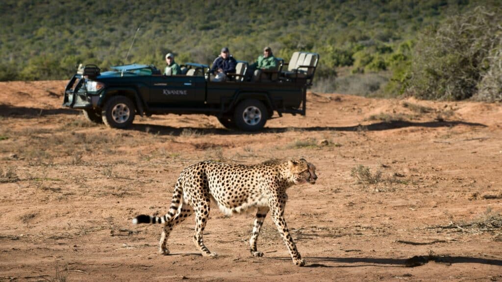 South Africa