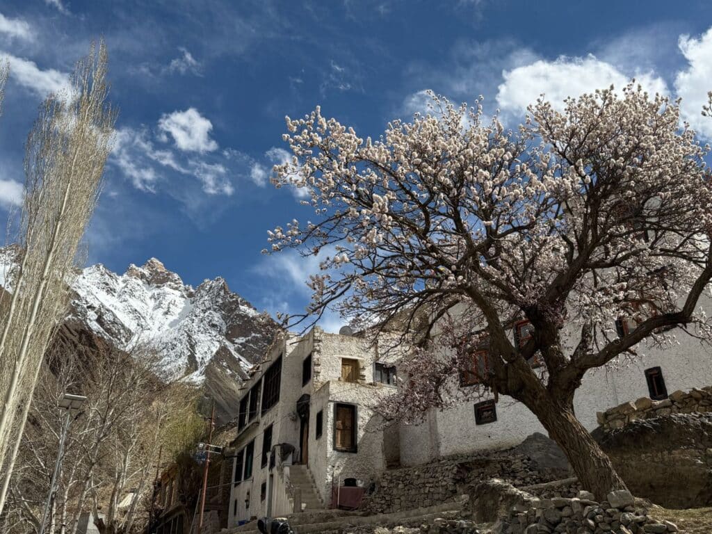Snow Leopard Lodge, Ulley, Ladakh, India