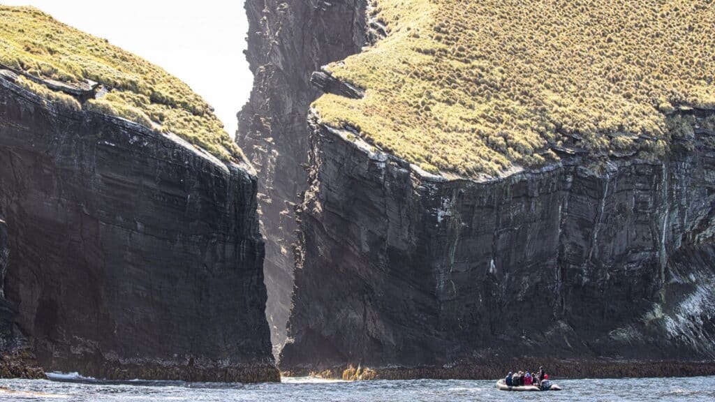 Expedition at Antipodes Island