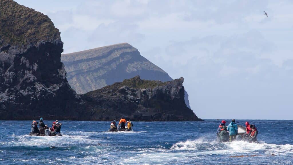 Expedition at Antipodes Island