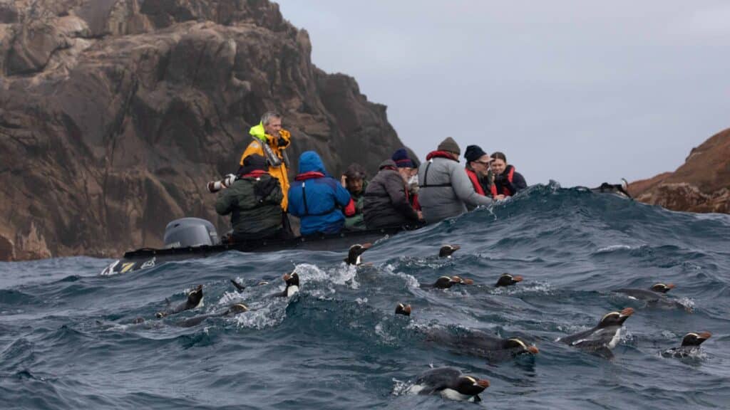 Expedition at Bounty Island