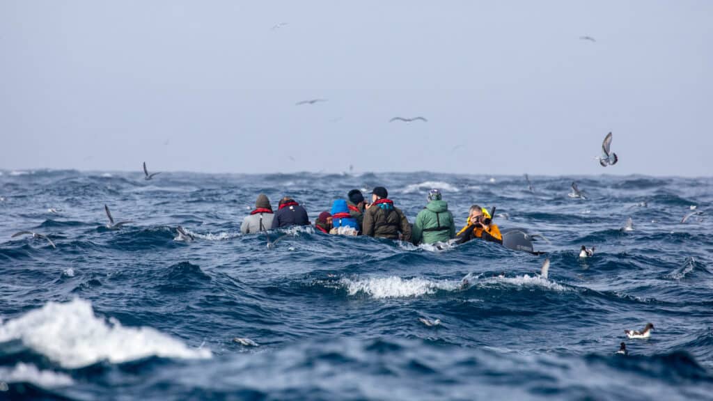 Expedition at Bounty Island