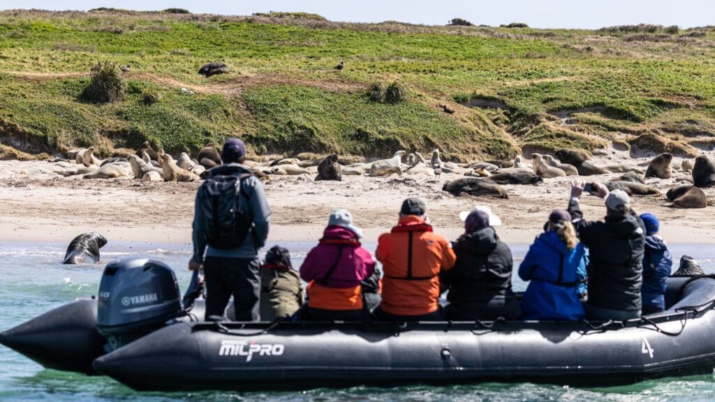 Expedition on Enderby Island