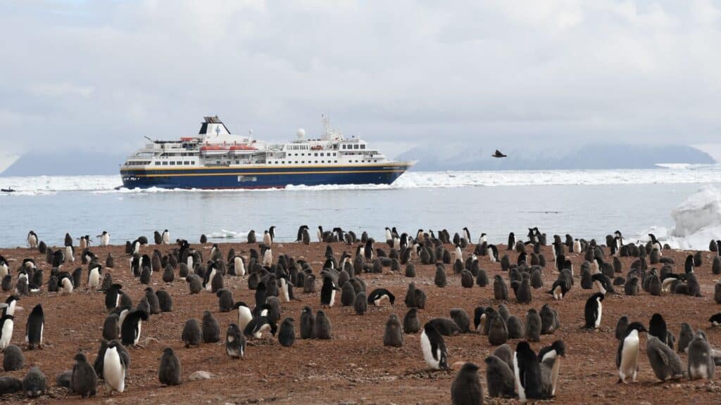 Heritage Adventurer by an Adelie penguin colony