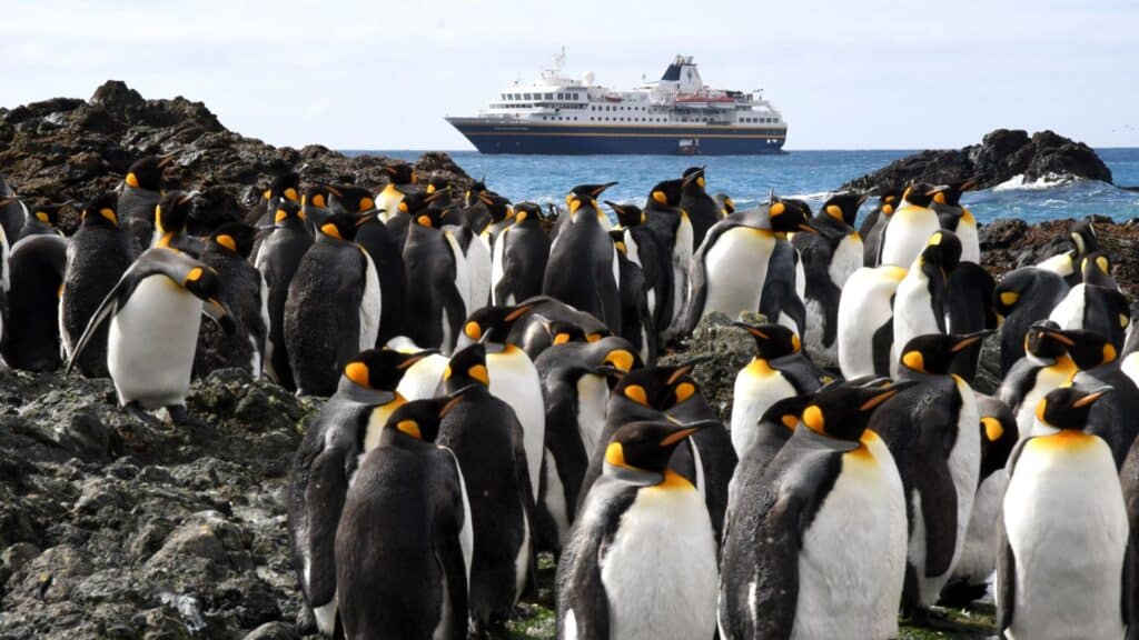Heritage Adventurer by Macquarie Island