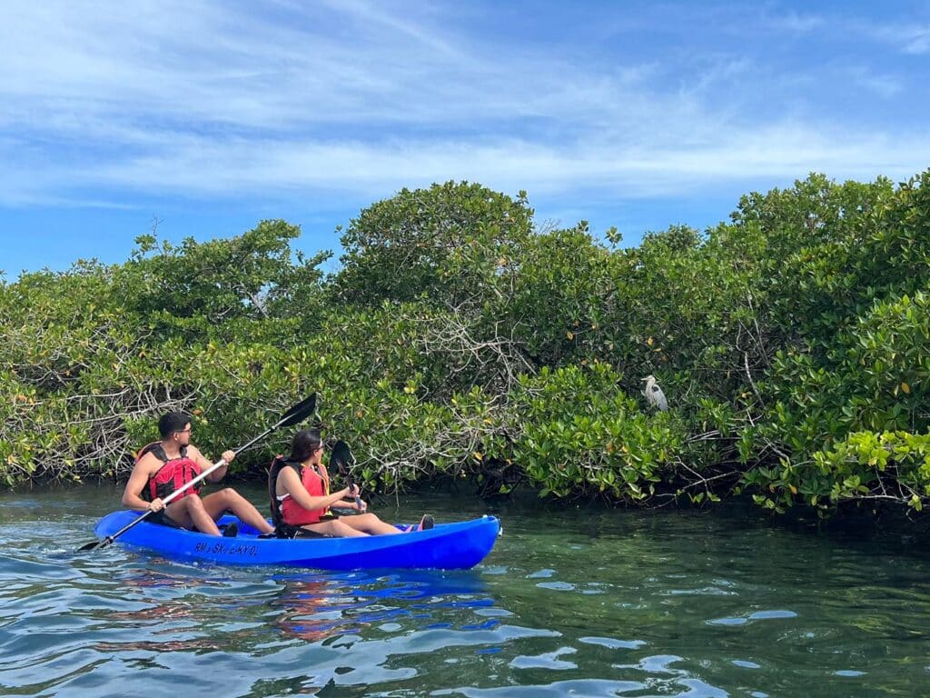 Kayaking with the ECOS Foundation